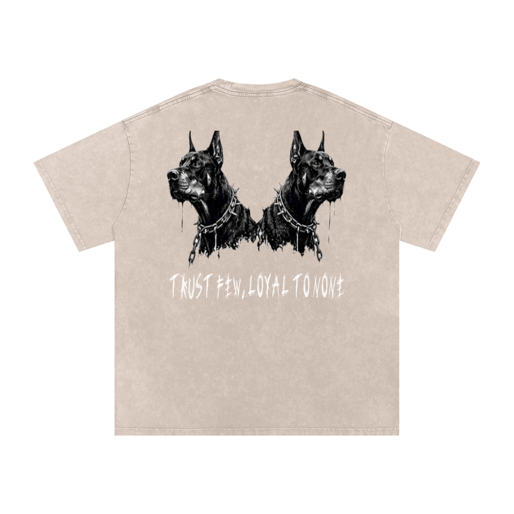 Snow Washed Oversized Cotton T-Shirt